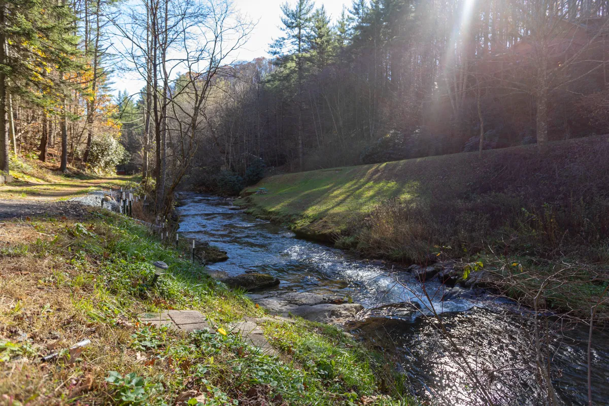 A scenic view of a flowing river bordered by a lush tree line and vibrant greenery. The natural setting is bright and tranquil, with ample space for hiking, picnicking, or simply soaking in High Country beauty.