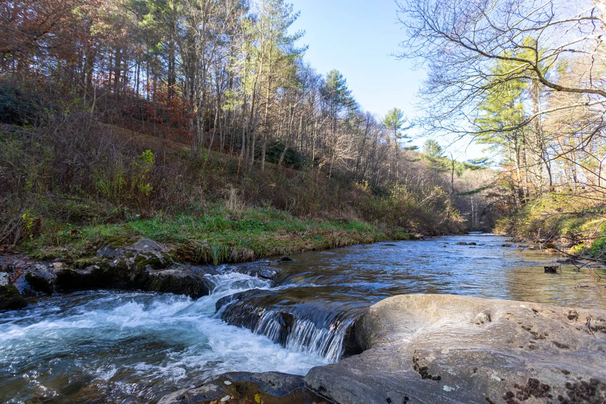 A tranquil creekside scene featuring clear river water flowing over rocks, surrounded by lush trees beneath an open sky. The mood is serene, with visible signs of fishing activity, such as someone catching a fish, and the natural beauty of the area inviting families to enjoy outdoor adventures like hiking and wildlife observation.