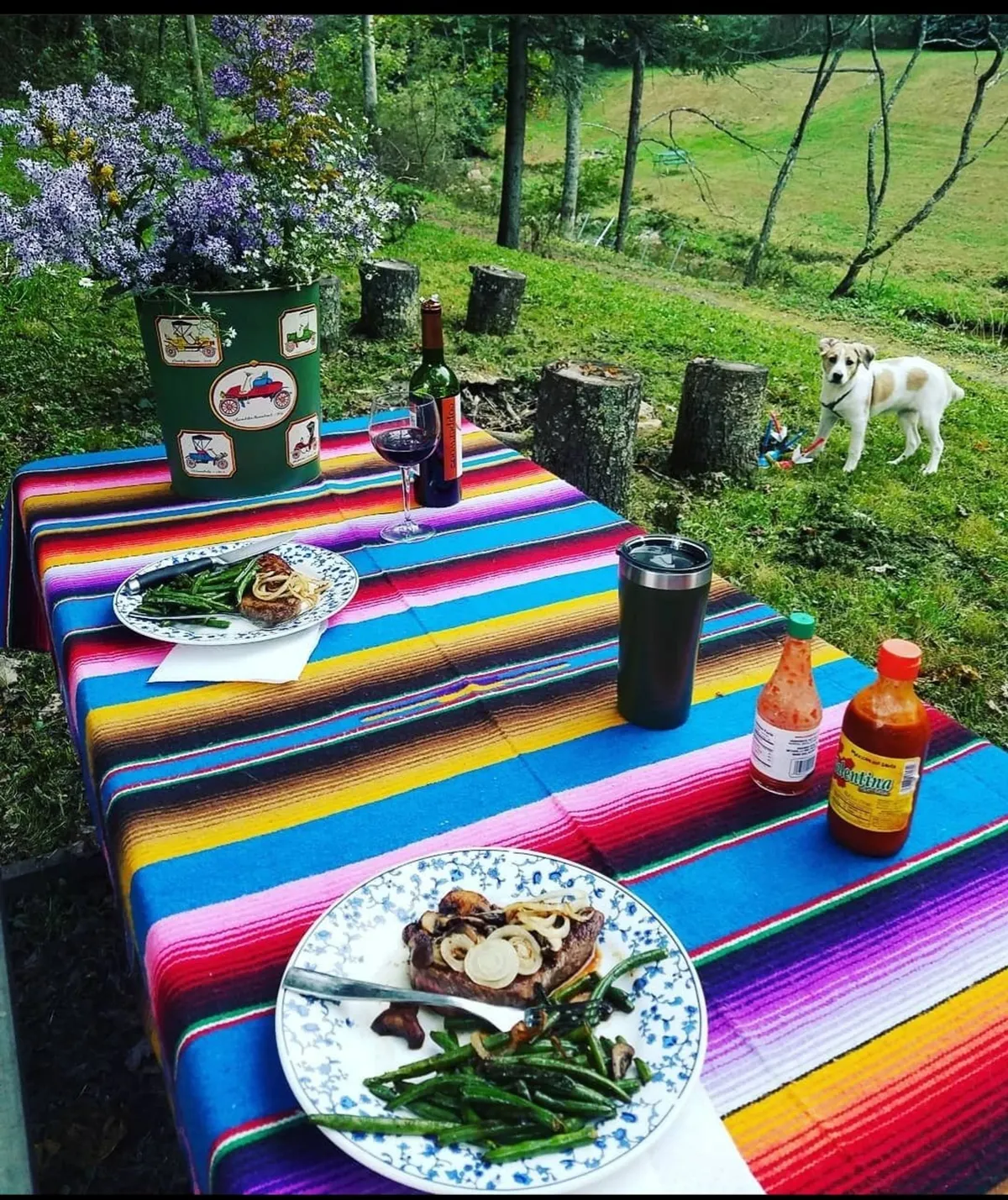 An exterior shot featuring a colorful table set with plates of food and wine glasses, with a dog relaxing in the background. The image conveys a joyful, social atmosphere amidst nature, suggesting vibrant outdoor living and relaxation.