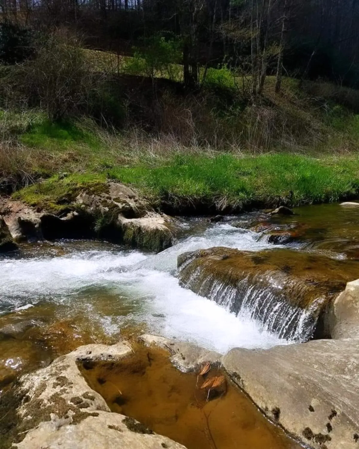 A peaceful exterior view of a gently flowing stream with rock formations, green grass, and trees in the background. The scene is inviting for families looking to fish, picnic, or simply relax by the water's edge, offering a sense of calm and togetherness in nature.